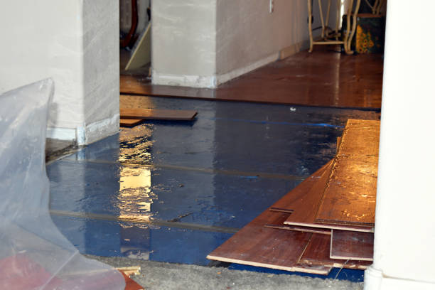 Professional Water Damage Restoration technician working in Borden, IN